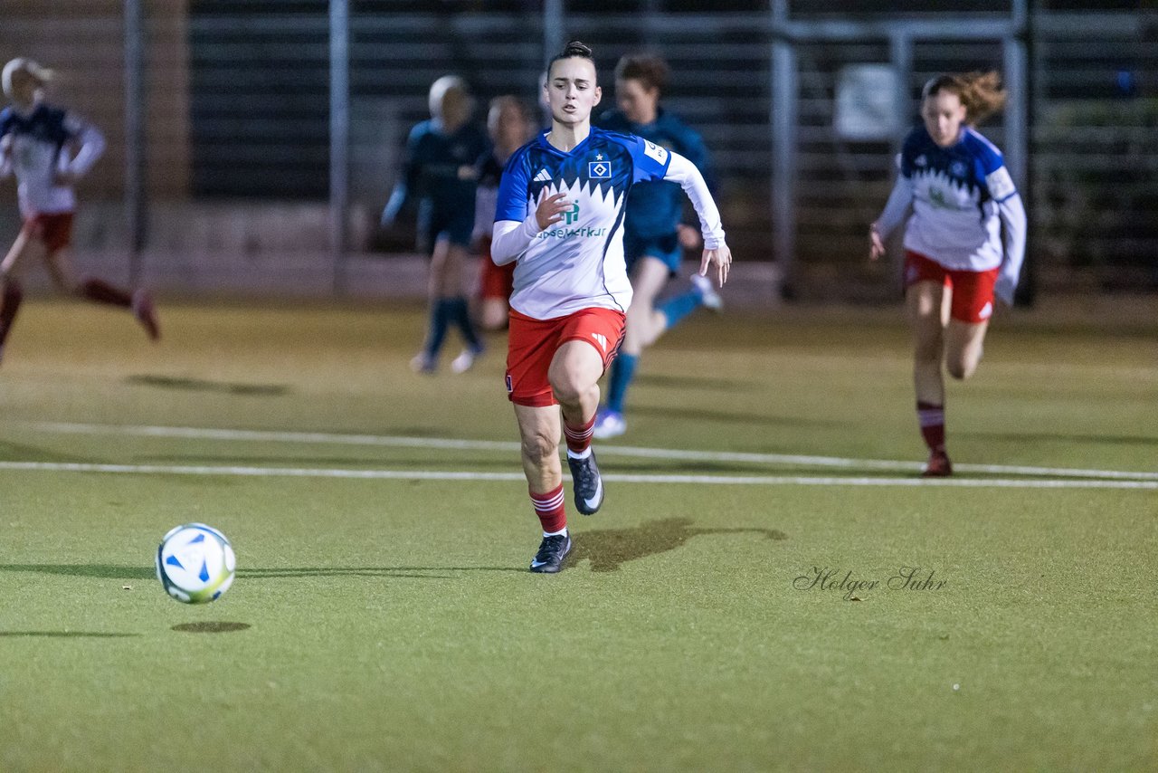 Bild 348 - F SC Alstertal-Langenhorn - Hamburger SV 3 : Ergebnis: 2:2